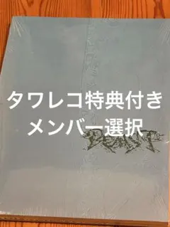 ALD1 少年BEAST Cementic Nest ver. 新品未開封