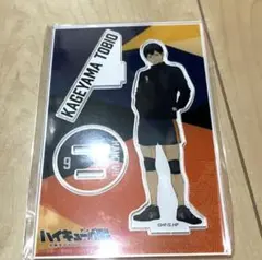 ハイキュー10周年記念展　アクスタ　影山飛男