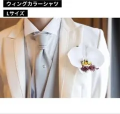 Item thumbnail for item 6c533493-149d-473d-b298-8a592718c17d