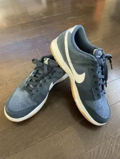 NIKE ナイキ DUNK LOW RETRO SE US9 27.0cm 箱無