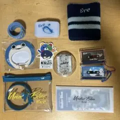 Eveグッズまとめ売り