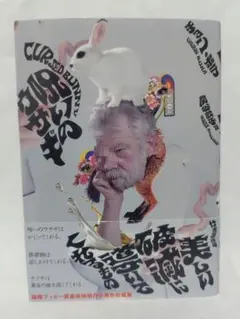 呪いのウサギ/チョン・ボラ
