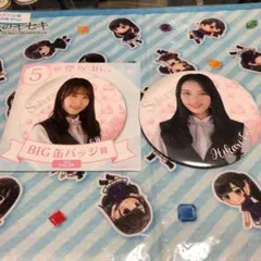 遠藤光莉　櫻坂46 BIG缶バッジ