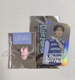 Stray Kids スキズ ペンミ ミニチャーム DWAEKKI - メルカリ