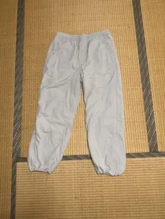 Item thumbnail for item d3e146d4-37fd-4499-9153-09e0ab407c98