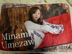 2025年最新】梅澤美波 サインの人気アイテム - メルカリ