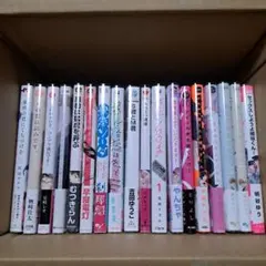 BL 漫画30冊セット