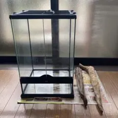 2025年最新】グラステラリウム 3045の人気アイテム - メルカリ