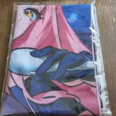 ハンターハンター h×h カイト タペストリー B2 - メルカリ