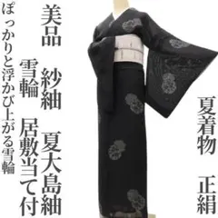 ゆめsaku 美品 夏着物 正絹 紗紬 雪輪 居敷当 手縫い 夏大島紬 P309のサムネイル