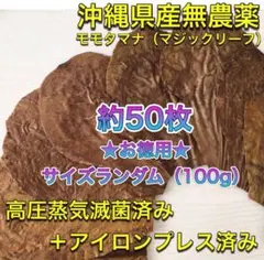 2026年最新】マジックリーフの人気アイテム - メルカリ