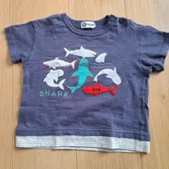 KP BOY サメプリント Tシャツ 90cmのサムネイル