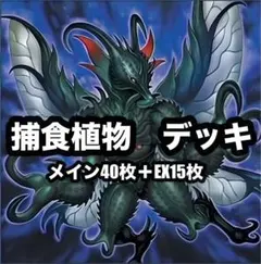 新規採用　遊戯王　烙印捕食植物　プレデタープランツ　本格構築済みデッキ　四天の龍 新規採用 遊戯王 烙印捕食植物 プレデタープランツ 本格構築済みデッキ