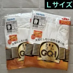 『新品』Ｌサイズ GUNZE GQ-1 長ズボン下 前あき 2枚セット