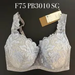 F75 PB3010 SG ワコール　ウイング　レシアージュ ブラジャーのサムネイル