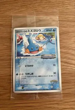2005年「ポケパーク」の記念グッズ。 ミズゴロウ スプラッシュ