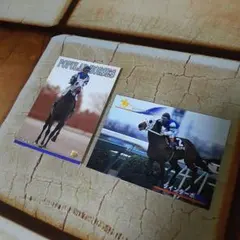 ツインターボ 2枚セット トレーディングカード ウマ娘