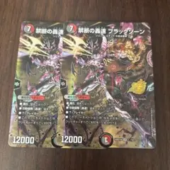 禁断の轟速ブラックゾーン 神アート ART16 SR 2/5 - メルカリ