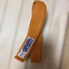 Item thumbnail for item 11f411cb-00ad-4505-8b66-0c7538a9d48c