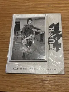 Sex Pistols シド・ヴィシャスLIVE ピクチャーレコード 激レア - メルカリ