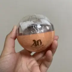 【未開封】ディズニー40周年　カプセルトイ