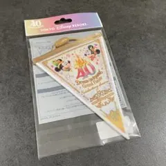 ドリームガーランド　ディズニーランド