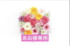 【あお様専用ページ】