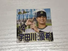 宇田川優希　オリックス　神戸デザインステッカー2024
