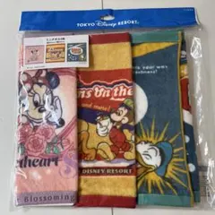 東京ディズニーリゾート キャラクタータオル 3枚セット