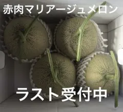 北海道アサヒメロン