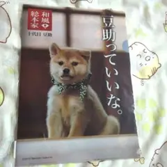 豆助クリアファイルとＡ6サイズのメモ帳
