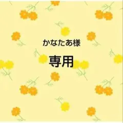 かなたあ様　おまとめ品専用出品