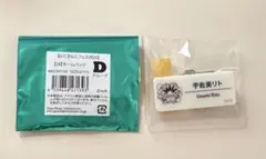 宇佐美リト ネームバッジ にじさんじフェス2025のサムネイル