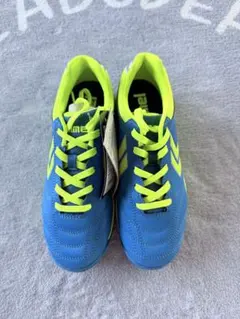 Item thumbnail for item c9c9ff96-ee42-4bbe-84fb-5f9512223367