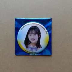 2026年最新】グループ名：日向坂46 坂道シリーズ ピンズ・ピンバッジ