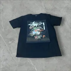 stussy Tシャツ ブラック ワールドツアー　花柄
