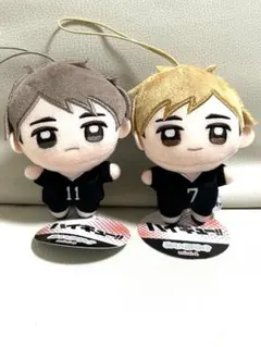 ハイキュー ぬいぷりけmini 2種セット