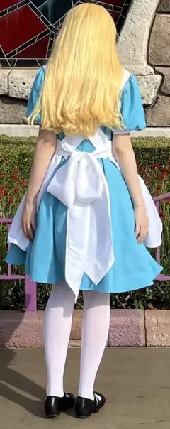 Dハロ アリス ウィッグ＋リボン Dハロ ふしぎの国のアリス 仮装 ウィッグセット