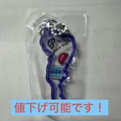 2026年競泳インターハイ限定琵琶湖キーホルダー - メルカリ