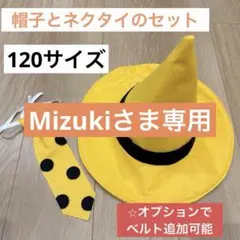 【Mizukiさま専用】120