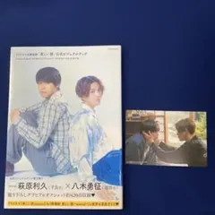 TVドラマ&劇場版「美しい彼」公式ビジュアルブック