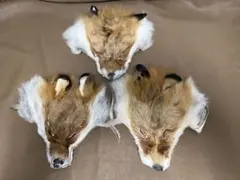 リアルファー生地　FOXフェイス　手芸材料　アクセサリー　 キャンプ　端切れ