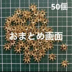 こんのすけ様 リクエスト 10点 まとめ商品