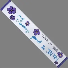 【新品・未開封】TWICE TWICELAND ZONE 2 マフラータオル