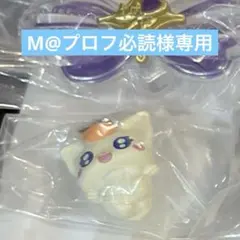M@プロフ必読様専用