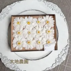 済　はなはな様　ご専用