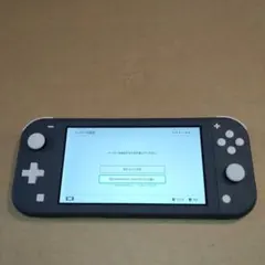 Switch Lite グレー 本体 あつ森ソフト amiibo付き 動作確認済 Switch Lite グレー 本体 あつ森ソフト amiibo付き 動作確認済 - メルカリ