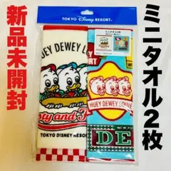 【新品未開封】東京ディズニーリゾート ミニタオル2枚 ヒューイ・デューイ・ルーイ