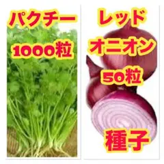 文様 リクエスト 2点 まとめ商品