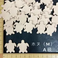 ヌメ革　ホヌ（M）A級　２５枚セット